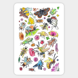 Watercolor Pollinators and Flowers Magnet